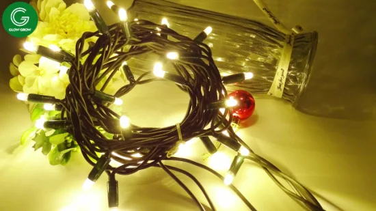 Usine extérieure de Noël clignotant LED String éclairage pour Noël bâtiment commercial vacances maison de fête palmier décoration de mariage